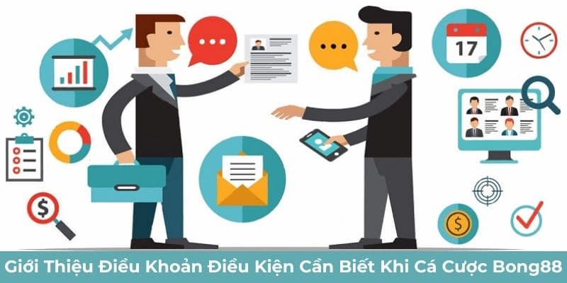 điều khoản viva88