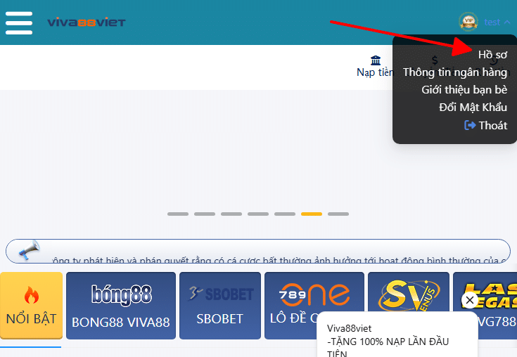 Hồ sơ viva88viet