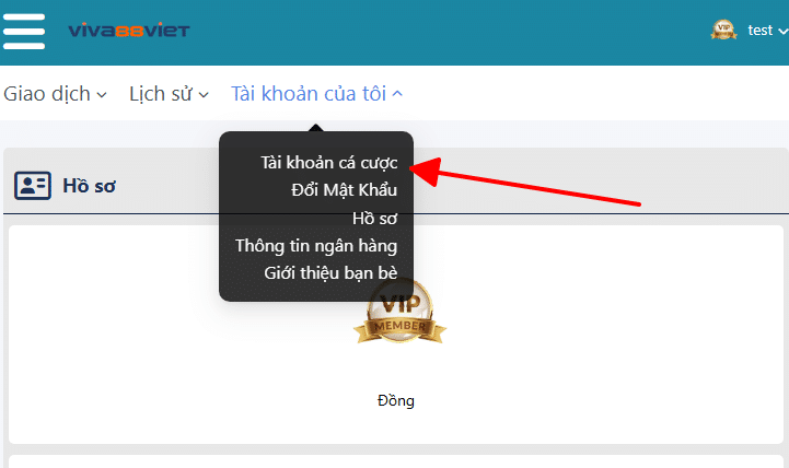 Tài khoản cá cược viva88viet